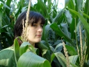 In the Corn
