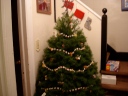 Christmas Tree aka Adopted Pagan Symbol